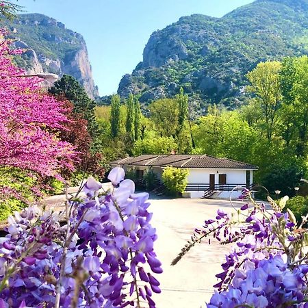Hotel La Ginestra อัคกวาลาญา ภายนอก รูปภาพ