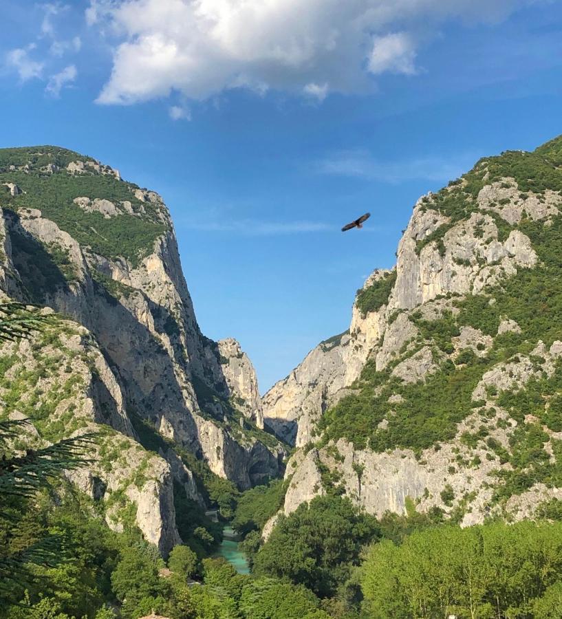 Hotel La Ginestra อัคกวาลาญา ภายนอก รูปภาพ