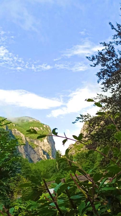 Hotel La Ginestra อัคกวาลาญา ภายนอก รูปภาพ