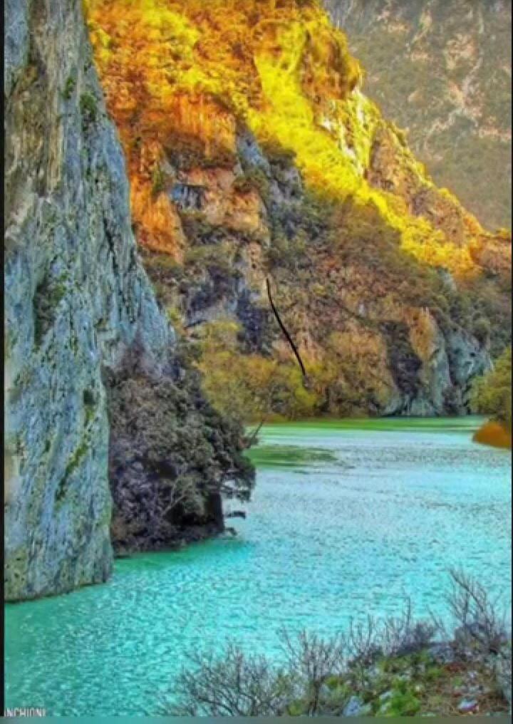 Hotel La Ginestra อัคกวาลาญา ภายนอก รูปภาพ