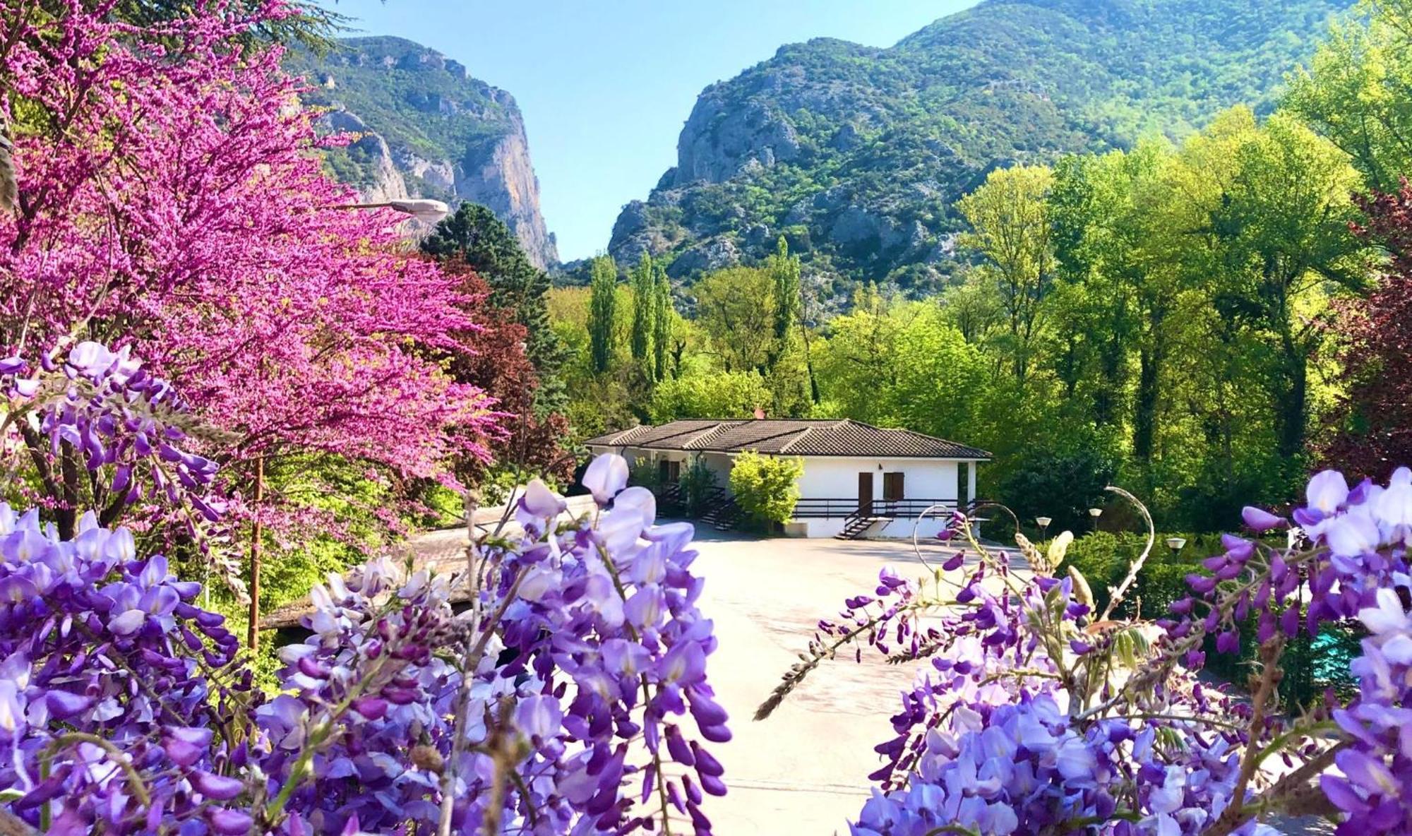 Hotel La Ginestra อัคกวาลาญา ภายนอก รูปภาพ